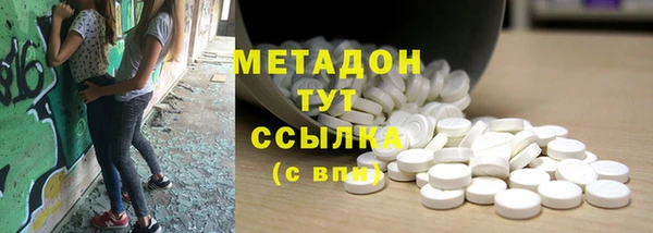 прущие грибы Осинники