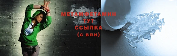 прущие грибы Осинники