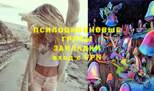амф Няндома