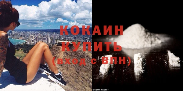 прущие грибы Осинники