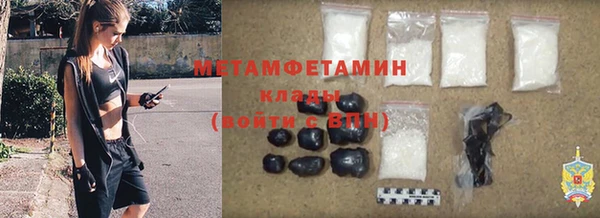 прущие грибы Осинники