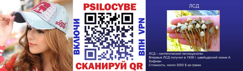 купить   Зеленогорск  Галлюциногенные грибы Psilocybine cubensis 