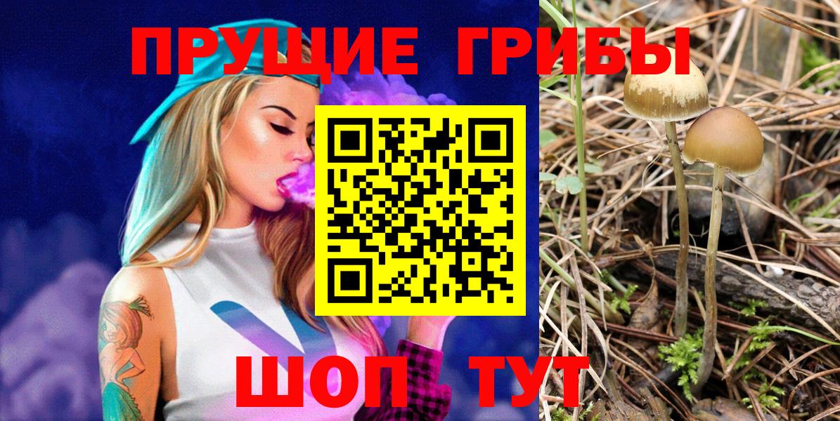 Галлюциногенные грибы ЛСД Зеленогорск