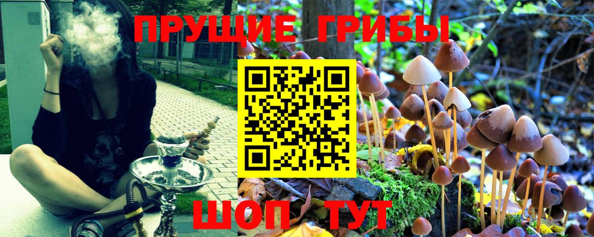 Зеленогорск  Галлюциногенные грибы ЛСД  Псилоцибиновые грибы Magic Shrooms  Вход с VPN 