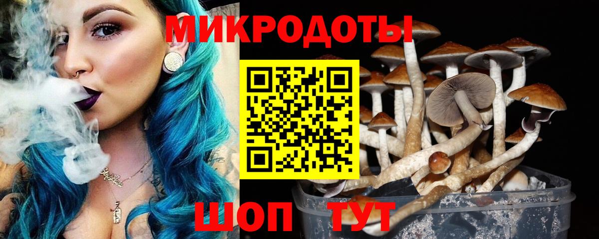 Псилоцибиновые грибы прущие грибы Зеленогорск
