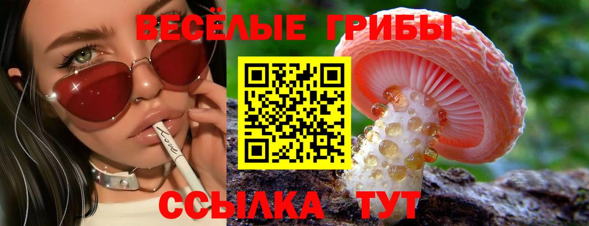 A PVP  Ketamine  Зеленогорск  Вход с VPN  Где купить наркотики?  ГАШ  Лсд 25  КОКАИН  Хэш  МЕФ  МДМА  Каннабис 